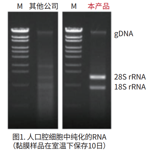微信圖片_20210507105511.png